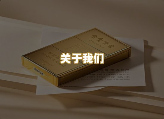 关于我们